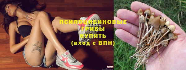 apvp Абаза