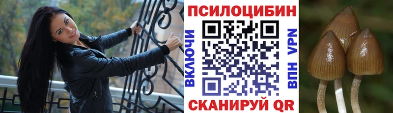 Псилоцибиновые грибы GOLDEN TEACHER  kraken ONION  нарко площадка официальный сайт  Разумное 