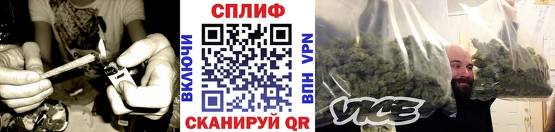 Бошки Шишки ГИДРОПОН Разумное